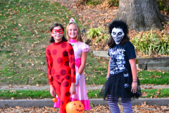 DSC_6216