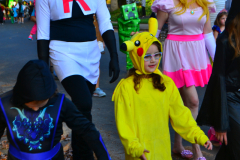 DSC_6235