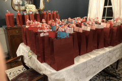 VFV-bags